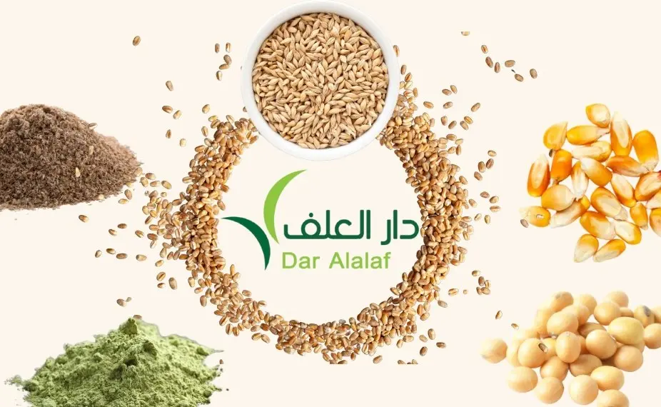 خلطة.webp