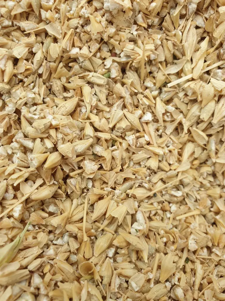 شعير بلدي مجروش