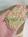 شعير بلدي مجروش
