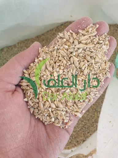 شعير بلدي مجروش