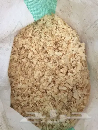 نشارة خشب للدجاج